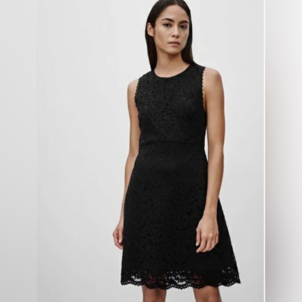 Aritzia | Babaton Rickie Sleeveless Black Lace Fully Lined Knee Length Dress